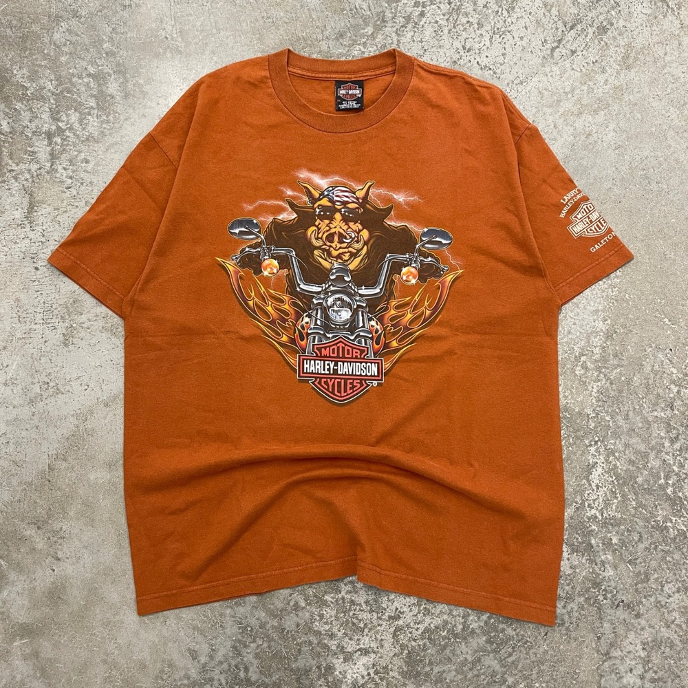 Harley Davidson Hog Biker Graphic T-Shirt Orange Larrys Galeton PA Mens XL